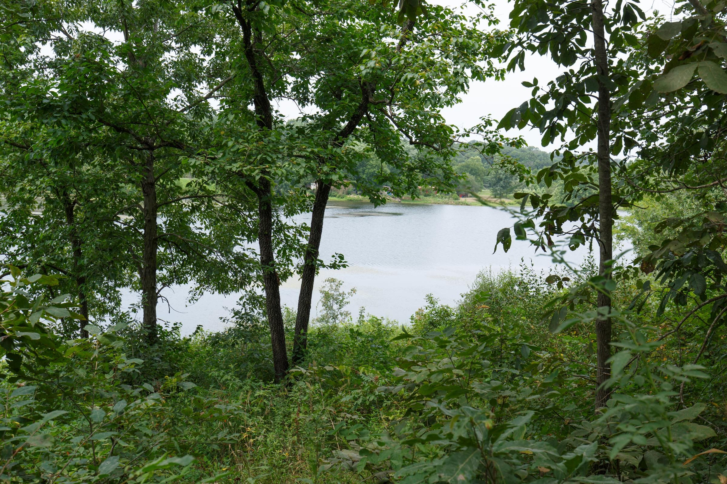 SPL-P3-T7 tract image