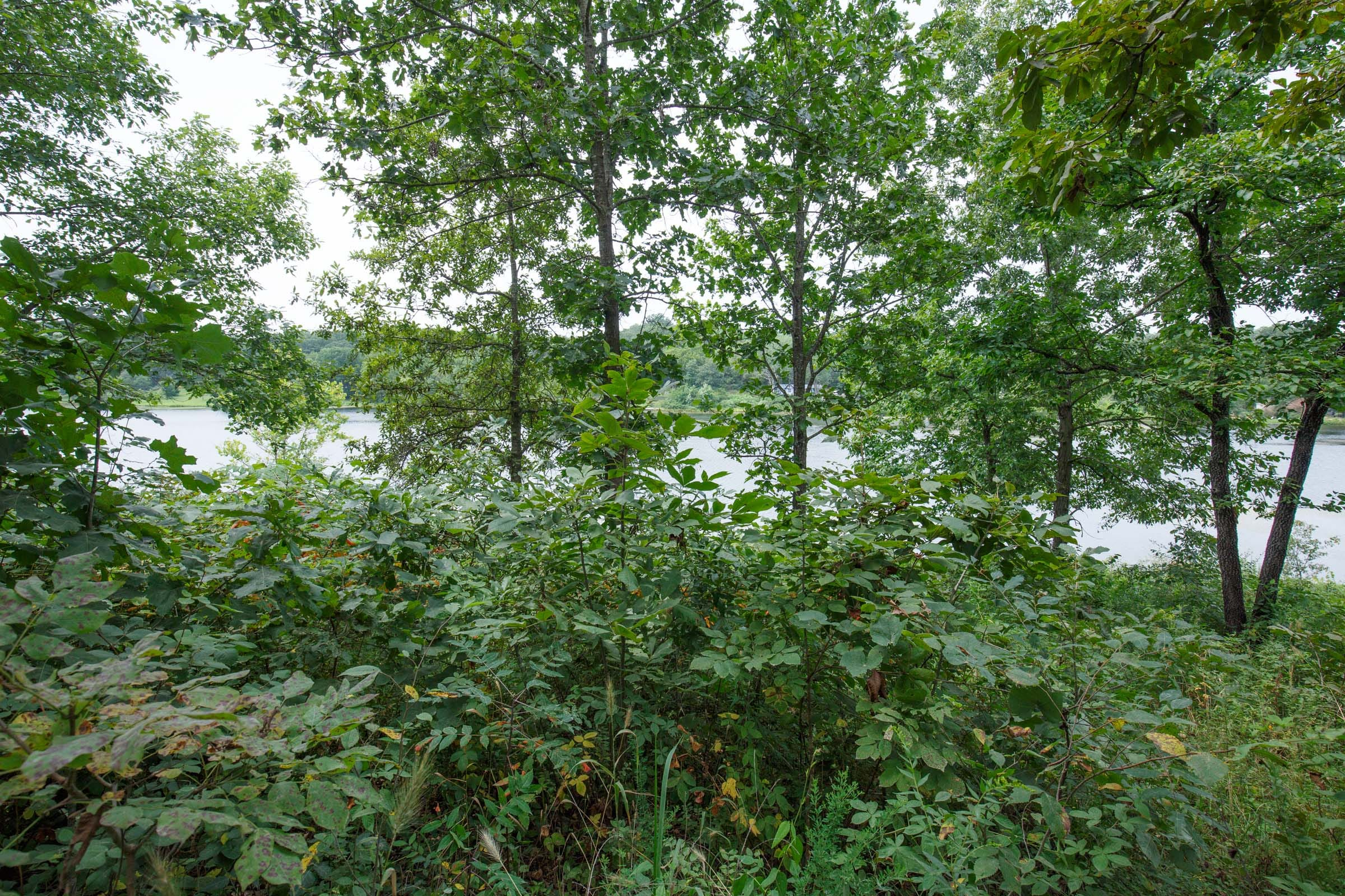 SPL-P5-T35 tract image